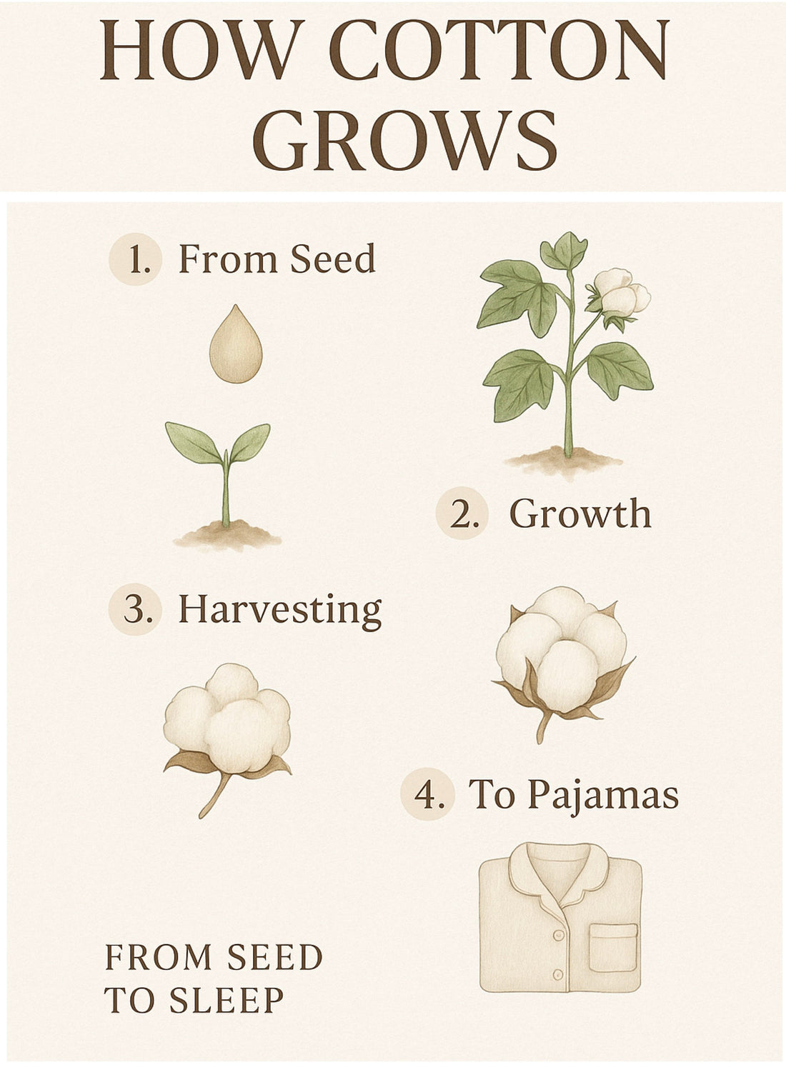 How Does Cotton Actually Grow? A Simple Guide for Conscious Moms