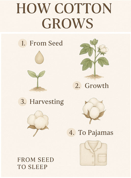 How Does Cotton Actually Grow? A Simple Guide for Conscious Moms